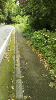 DSC_0976.JPG